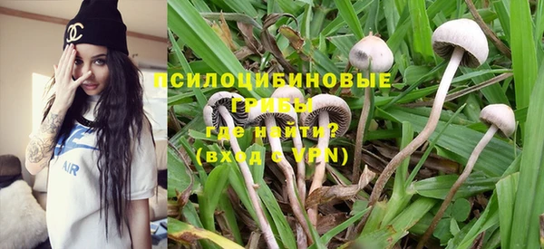 гидропоника Михайловка